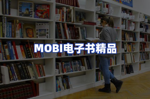 外文电子书产品